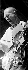 NEOTON Jolana, JOLANY Alfa, Torn�do, Pedro
